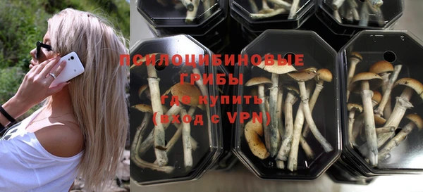 винт Алексеевка