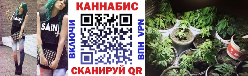 blacksprut онион  Шилка  маркетплейс какой сайт  Каннабис тримм 